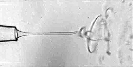 Image shows a jet exhibiting chaotic whipping as it emerges from a needle in a microfluidic device. (Credit: Josefa Guerrero)